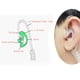 thumbnail image 5 of Auriculares de repuesto para radio bidireccional Luckvan LMS (3 pares), 5 of 5