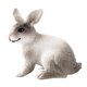 thumbnail image 5 of Figura De Conejo Realista Zoológico Modelo De Animales De Granja Juguetes De Ense?anza Decoración De Mesa Gris Blanco En Cuclillas, 5 of 5