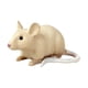 thumbnail image 5 of Modelo de Juguete de Ratón para Niños, Figura de Juguete de , Utilería de Broma, Figura de Animal de Simulación, Suministros para Fiesta de Guarde Estilo A, 5 of 5