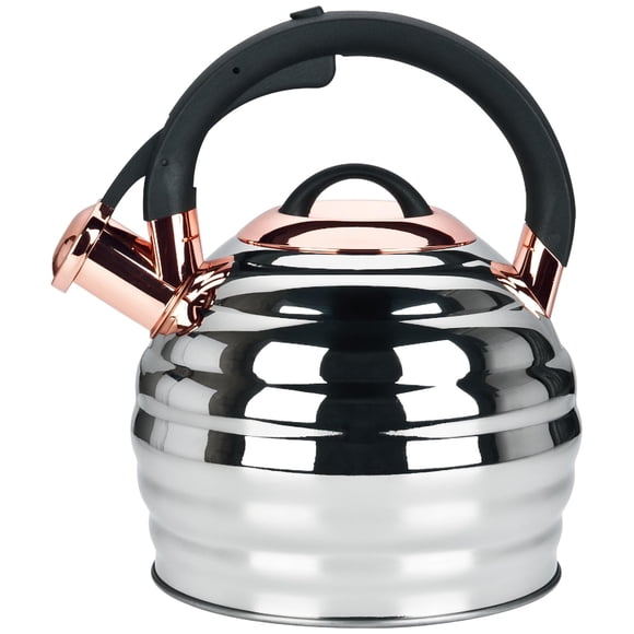 Hervidor de Agua Lazneyru 3.2Q de Acero Inoxidable con Silbido