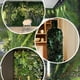 thumbnail image 4 of Jardín Muro Vertical Artificial C Palmeta Plantas 60x40 Cm Verde, 4 of 4