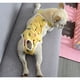 thumbnail image 2 of Pañales para perros Pantie sanitaria lavable femenina con suspensión ajustable, pañales perros reutilizables para perros masculinos en calor, hojas amarillas (hojas amarillas M), 2 of 3