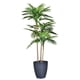 thumbnail image 1 of Planta Decorativa Artificial Royal Palm 105 Cms., 1 of 5