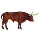 thumbnail image 1 of Figura Breyer Horses Traditional Series Texas Longhorn Bull, 1 of 5