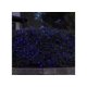 thumbnail image 3 of Bombilla Celebrations NET Classic T5 azul, 100 unidades, 1,8 m, 3 of 6