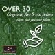 thumbnail image 5 of Té de hierbas Bravo Tea Absolute White Mulberry Leaf 20 bolsas, 5 of 5