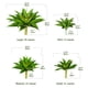 thumbnail image 2 of Plantas artificiales de agave Ttranewsoo, grandes, resistentes a los rayos UV, paquete de 2, 2 of 9