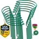 thumbnail image 1 of Estacas de soporte para plantas K-Brands de 25 a 61 cm, paquete de 12, 1 of 7