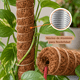 thumbnail image 4 of Kit Tutor De Musgo 20pcs Soporte Plantas Trepadoras 100cm, 4 of 9