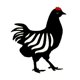 thumbnail image 1 of Estacas De Pollo Negro Grande Patio Al Aire Libre Decoración De Jardín Patio Art Metal Art Hen, 1 of 5