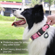 thumbnail image 5 of Collar militar para perros medianos y grandes, collares de nailon ajustables con asa, 5 of 6