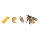 thumbnail image 3 of Figuras Del Ciclo De Crecimiento Animal, Accesorios De Ense?anza Para Ni?os Y Ni?as, Abeja De Aprendizaje Preescolar, 8x3cm, 3 of 5