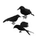 thumbnail image 3 of 3 Piezas De Cuervos De Halloween, Pájaros, Cuervos De Plumas De Simulación Negra Para Fiesta De Halloween, Estilo B, 3 of 5