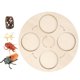 thumbnail image 4 of Montessori Life Growth Cycle Board Early #Educational For Preschool Kids Cigarra, 4 of 5