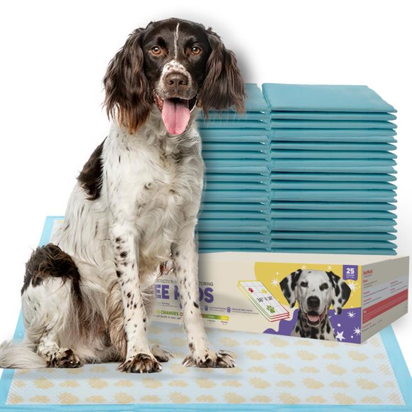 Tapetes PETSWORLD 91 cm Ultra Absorbentes - 25 unidades
