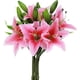 thumbnail image 1 of Paquete De 5 Flores Artificiales De Lirio De Tacto Real, Flores Falsas Para Boda, Hogar, Fiesta, Jardín, Tienda, Oficina, Decoración De Flores De Lirio De Plástico Falso., 1 of 7