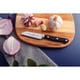 thumbnail image 3 of Cuchillo para Legumbres y Frutas Tramontina Century con Lámina en Acero Inoxidable y Mango en Policarbonato y Fibra de Vidrio 3", 3 of 3