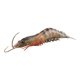 thumbnail image 4 of Criaturas De Gambas Realistas Figuras De Juguete Aprendizaje Temprano Cognitivo Para La Ense?anza Negro 103g, 4 of 5