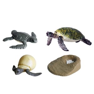 Magideal - 4 Uds. Ciclo De Vida De Tortugas Marinas Ciclo De Crecimiento De Animales Marinos Juguetes Educativos Figuras De Animales Juguetes Para Niños Pequeños