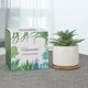 thumbnail image 3 of Plantas suculentas artificiales de agave Hopewood de imitación con macetas de cerámica, 3 of 8