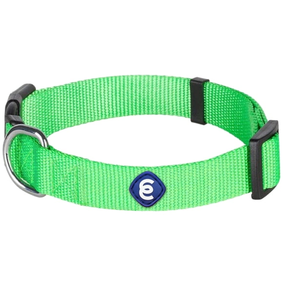 Collar para perros Blueberry Pet Essentials, verde neón, para perros pequeños