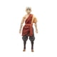 thumbnail image 1 of Figura de acción Jazwares Avatar Aang 17 cm, 1 of 2