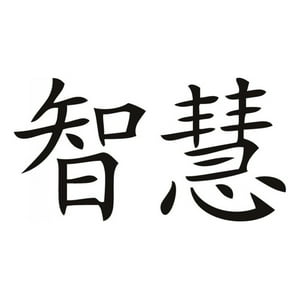 Rienda Libre Graphics - Decomural Wisdom Chinese Symbol Ws-16091