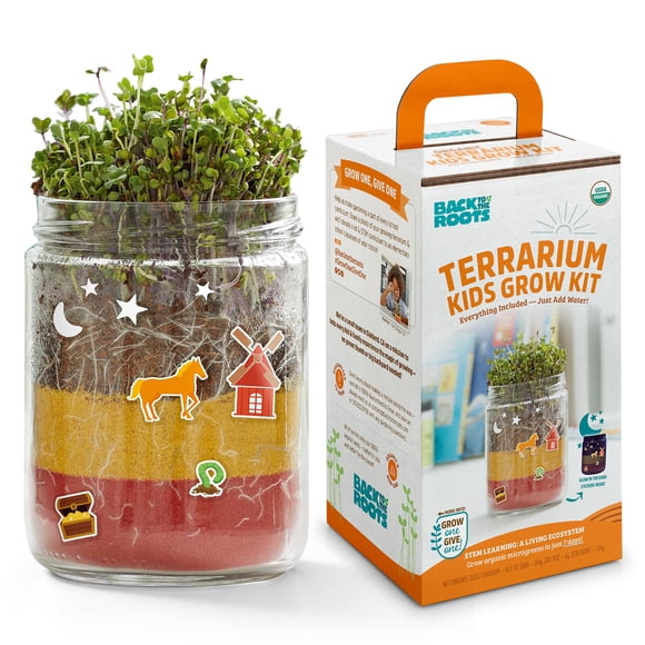 Kit de Terrario Back to the Roots Pequeño DIY