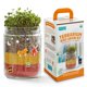 thumbnail image 1 of Kit de Terrario Back to the Roots Pequeño DIY, 1 of 8