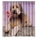 thumbnail image 1 of Cortina de ducha con diseño de pug, con ganchos, 66 x 72 pulgadas, 1 of 3