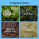 thumbnail image 3 of Colonia STELLARIA Blue Ocean 100 ml Cítrica Aromática, 3 of 8