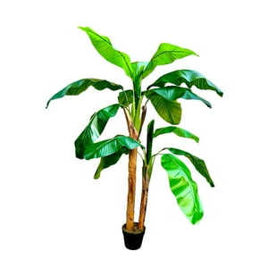 Arbusto Real - Planta Artificial Banano 160 Cm. / 15 Hojas Premium