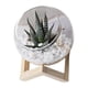 thumbnail image 3 of Maceta De Cristal Con Adornos Florales, Maceta Creativa Para Jardín Al Aire Libre, Hotel, 12cm, 3 of 5
