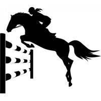 Rienda Libre Graphics - Decomural Horse Racing Ws-44789
