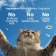 thumbnail image 4 of Arena para Gatos Boxiecat 7,5 kg Aromatizada y Libre de Polvo, 4 of 5