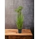 thumbnail image 3 of Pasto Angelica 81cm Artificial, 3 of 3