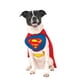 thumbnail image 1 of Disfraz de mascota, rubíes, superhéroes de DC Comics, Superman Small, 1 of 5