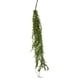 thumbnail image 2 of Helecho Colgante De Hoja Mini 94cm Artificial, 2 of 3