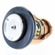 thumbnail image 4 of Termostato YAMAHA 50 °C OEM 60V-12411-00-00, 4 of 4