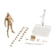 thumbnail image 2 of Conjunto De Cuerpo De Figuras De 15 Cm Con Soporte De Exhibición De Figura Para Decoración De Dormitorio Albaricoque Masculino, 2 of 5