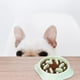 thumbnail image 4 of Plato Alimentación Lenta, Anti Estrés Para Perro Y Gato verde, 4 of 5
