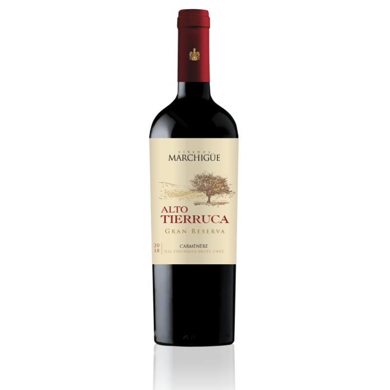 Vino Tinto Carmenere Gran Reserva 13.5° Botella 750 cc Alto Tierruca