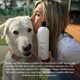 thumbnail image 4 of Champú para perros LolaVie Puppy Love 473 ml con pH equilibrado para piel sensible, 4 of 9