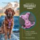 thumbnail image 4 of Arnés para perro Wilderdog Mediano Lila Reflectante, 4 of 7