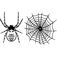 Rienda Libre Graphics - Decomural Spider Web Halloween Ws-32984