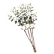 thumbnail image 5 of 4 Ramas De Flores De Algodón Falso De 21" Con Decoración De Granja De Hojas De Eucalipto, 5 of 5