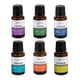 thumbnail image 3 of Set Aceites Esenciales Mainstays 15 mL 6 Unidades Aromaterapia, 3 of 3