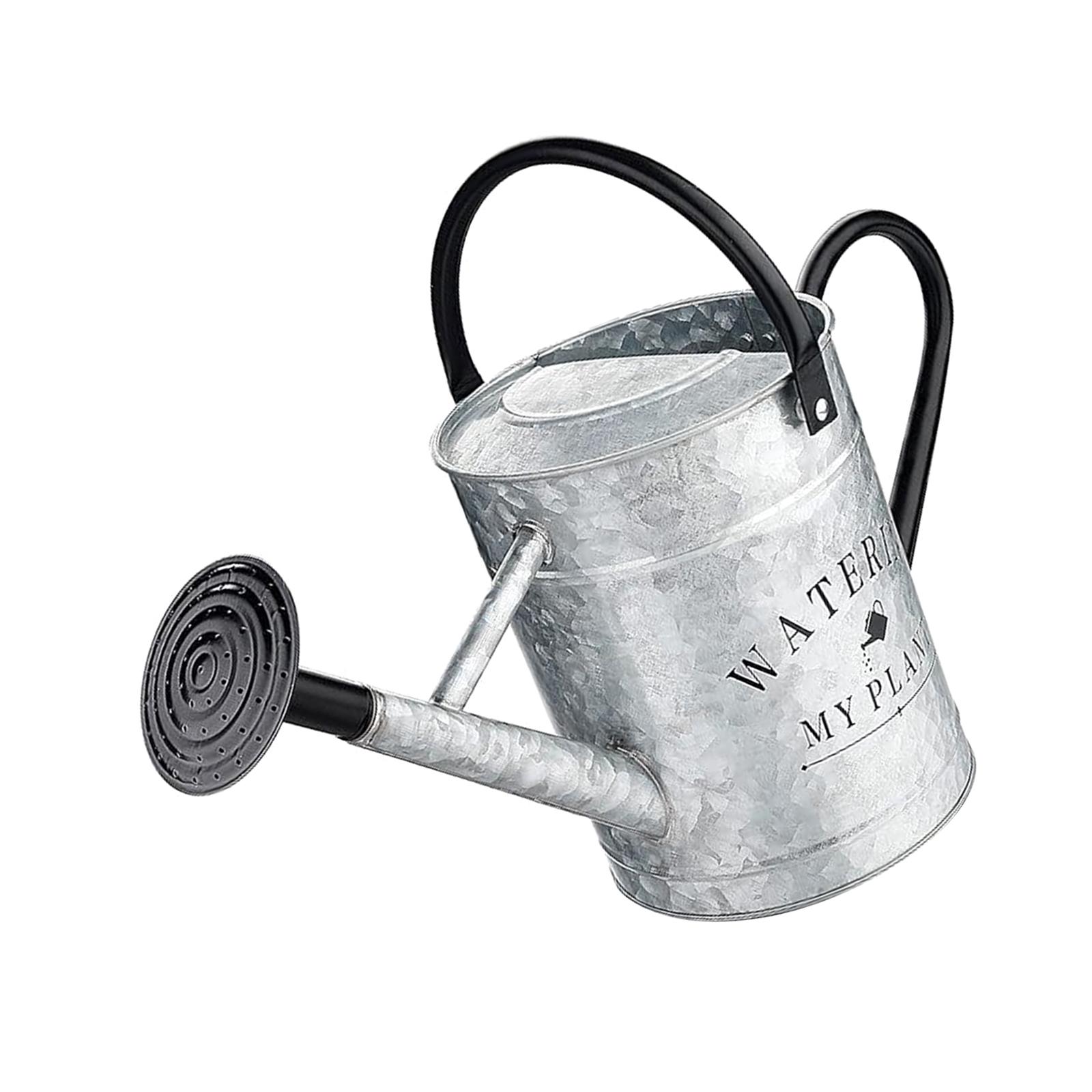 Magideal - Regadera De Metal, Herramientas De Jardinería, Cabezal Rociador, Regadera De Jardín Moderna, Botella De Agua Para Vegetales, Para Patio, Bonsái Y Césp