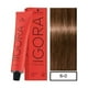 thumbnail image 1 of Igora Royal 6-0 + Activador 20 Vol. Tintura Pelo, 1 of 3