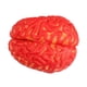thumbnail image 1 of Accesorio De Terror De Halloween, Decoración De Fiesta De Cerebro Ensangrentado Falso, Festival, Partes Del Cuerpo Falsas, 1 of 5